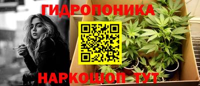 эйфоретик Усть-Джегута