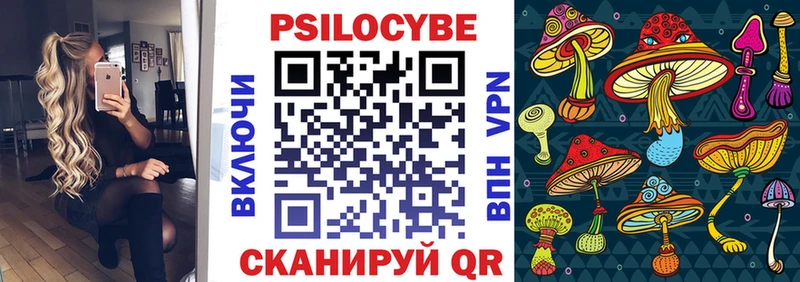 Галлюциногенные грибы Psilocybe  продажа наркотиков  Красноперекопск 